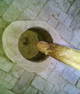 Mashing Pulp