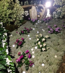 Oyster and pearl display on the Tropical Route