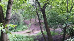 Golosov Ravine in Kolomenskoye Park