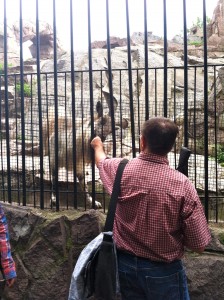 One of the Moscow zoo guests feeding an animal.