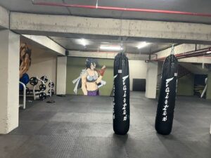 Fitness in Tbilisi— GYM 13