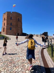 Gedimas Castle Tower Vilnius